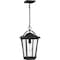 Quoizel Darius Outdoor Hanging Lantern DRS1911EK - alternate 1
